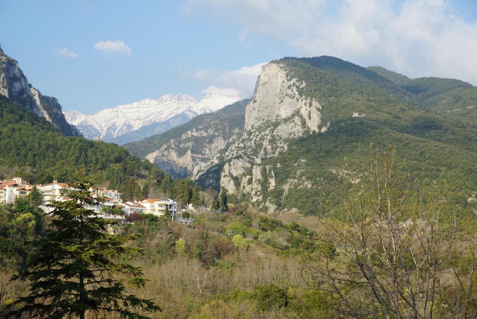 Ενοικιαζόμενα Δωμάτια Ενιπεύς- Rooms Enipeas Litochoro Exteriér fotografie